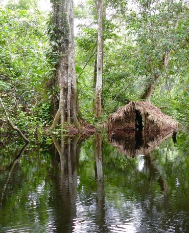 Carbon Market Structuring