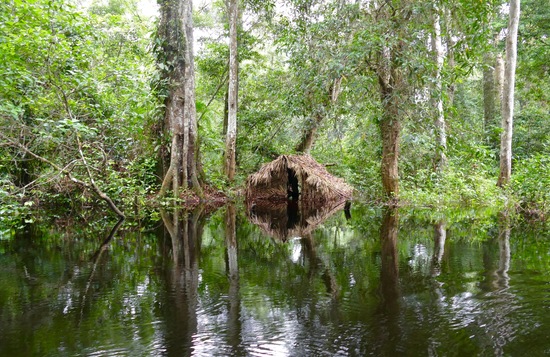 Contributing at our scale