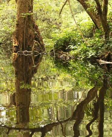 Due Diligence & Risk Assessment