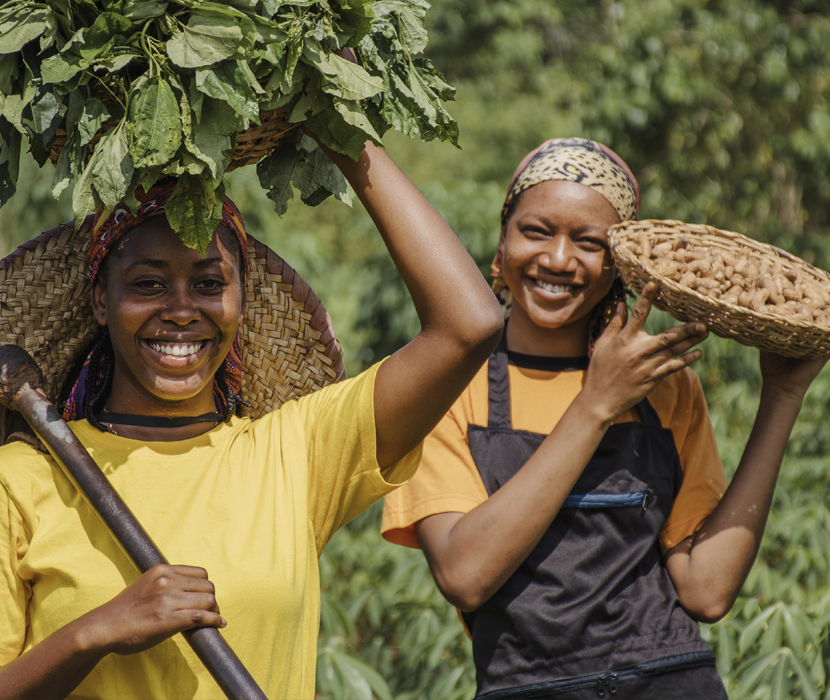 Community and CFCL Integration