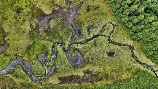 Respecting Sovereignty and National Priorities