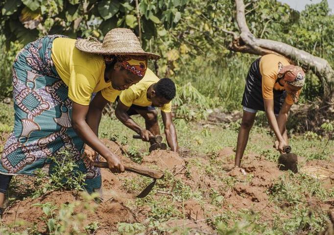 Development Finance Institutions & Multilateral Partners
