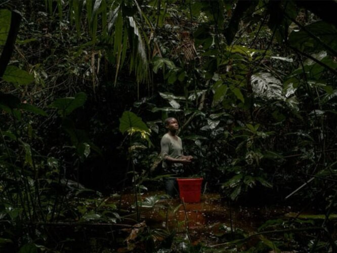 Inclusive and transparent governance