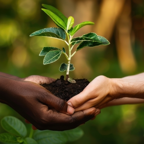 Sustainable Finance & Financial Engineering