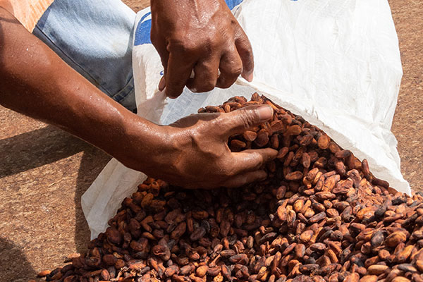 Community Governance