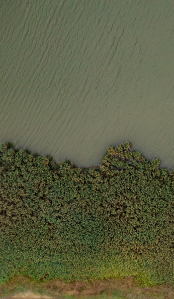 Corporate climate strategies