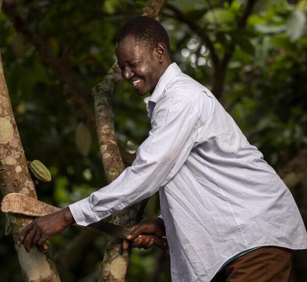 Institutional Investors & Impact Funds